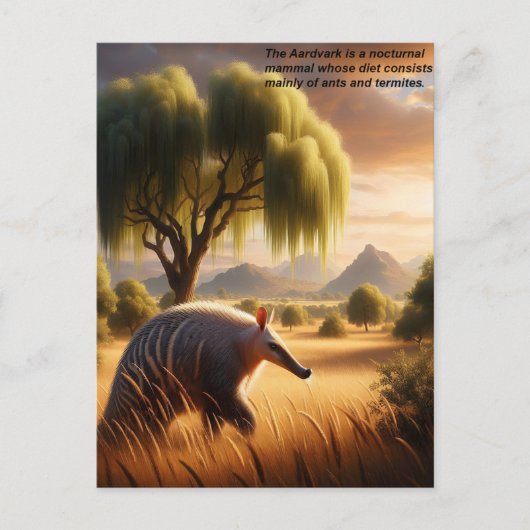 Carte Postale Majestic Aardvark dans Sunlit Field (Devant)
