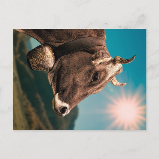 Carte postale Majestic Cow (Devant)