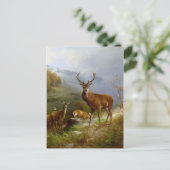 Carte Postale Majestic Deer ~ (Debout devant)