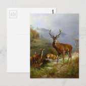 Carte Postale Majestic Deer ~ (Devant / Derrière)