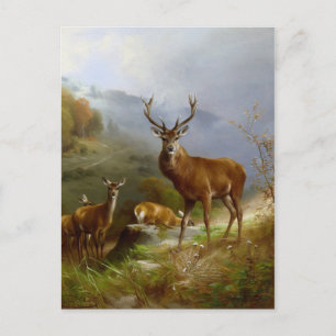 Carte Postale Majestic Deer ~