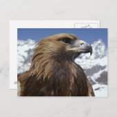 Carte postale Majestic Eagle (Devant / Derrière)