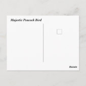 Carte Postale Majestic Peacock (Dos)