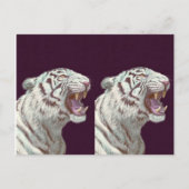 Carte Postale Majestic White Tiger – Postcard Design (Devant)
