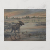 Carte Postale Majestueux orignal (Devant)