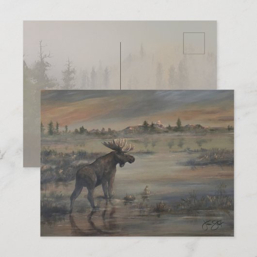 Carte Postale Majestueux orignal (Devant / Derrière)
