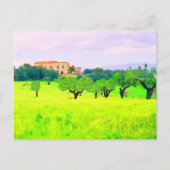 Carte Postale Majorque (Devant)