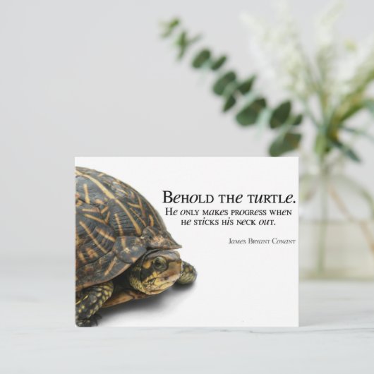 Carte Postale Makes Progress (Debout devant)