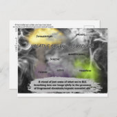 Carte Postale Making The Invisible Visible (Devant / Derrière)