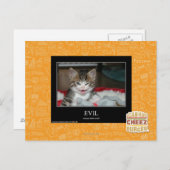 Carte Postale Mal (Devant / Derrière)