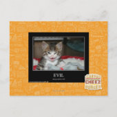 Carte Postale Mal (Devant)