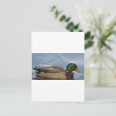 Carte Postale Mal III (Debout devant)