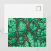 Carte Postale Malachite à motif vert (Devant / Derrière)