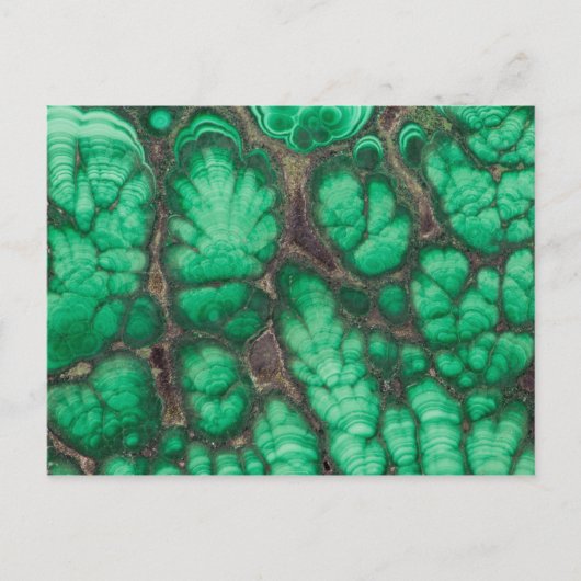 Carte Postale Malachite à motif vert (Devant)