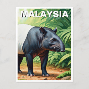 Carte Postale Malaisie Malayan Tapir