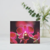 Carte Postale Malaisie, Orchidée (Debout devant)