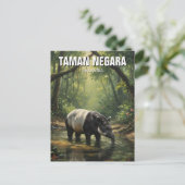 Carte Postale Malaisie Taman Negara Malayan Tapir (Debout devant)
