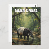 Carte Postale Malaisie Taman Negara Malayan Tapir (Devant / Derrière)