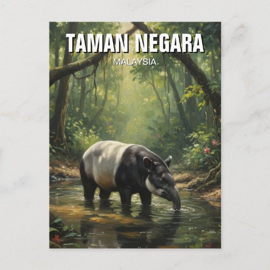 Carte Postale Malaisie Taman Negara Malayan Tapir (Devant)