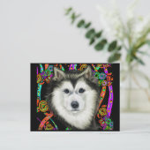 Carte Postale Malamute d'Alaska (Debout devant)