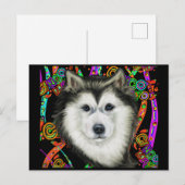 Carte Postale Malamute d'Alaska (Devant / Derrière)