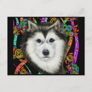 Carte Postale Malamute d'Alaska