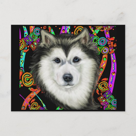 Carte Postale Malamute d'Alaska (Devant)