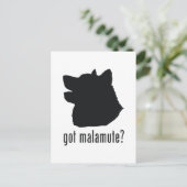Carte Postale Malamute d'Alaska (Debout devant)