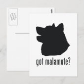 Carte Postale Malamute d'Alaska (Devant / Derrière)