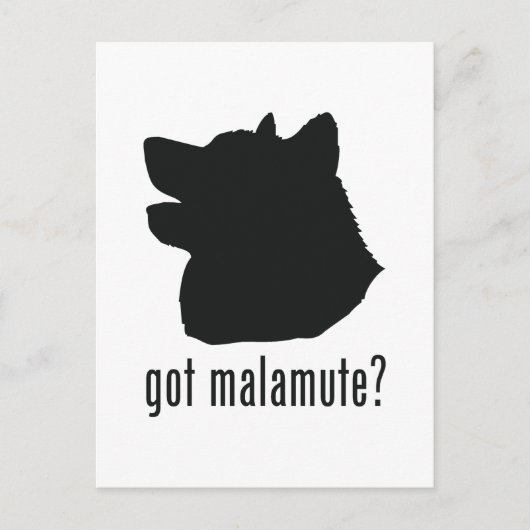 Carte Postale Malamute d'Alaska (Devant)