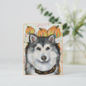 Carte Postale Malamute d'Alaska (Debout devant)