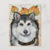 Carte Postale Malamute d'Alaska (Devant)