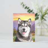 Carte Postale Malamute d'Alaska (Debout devant)