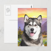 Carte Postale Malamute d'Alaska (Devant / Derrière)