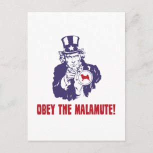 Carte Postale Malamute d'Alaska