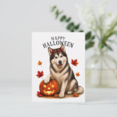 Carte Postale Malamute d'Alaska Halloween (Debout devant)