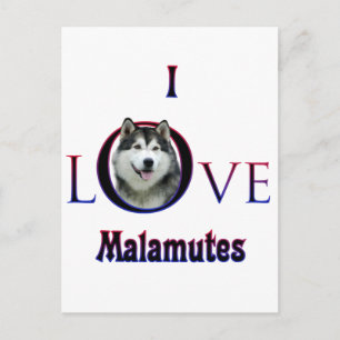 Carte Postale Malamute d'Alaska I Love