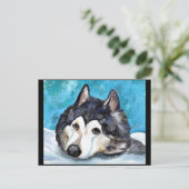 CARTE POSTALE MALAMUTE JOUE DANS LA NEIGE (Debout devant)