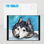 CARTE POSTALE MALAMUTE JOUE DANS LA NEIGE (Devant / Derrière)
