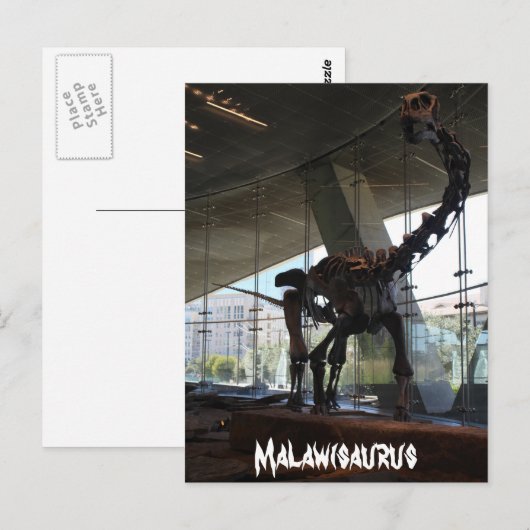 Carte Postale Malawisaurus (Devant / Derrière)