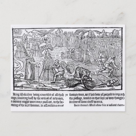 Carte Postale Malcolm, roi d'Écosse (Devant)