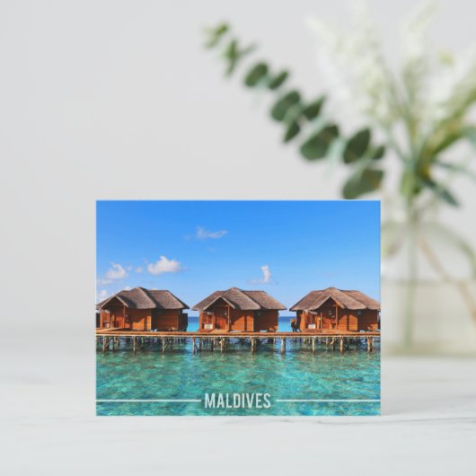 Carte Postale Maldives (Debout devant)