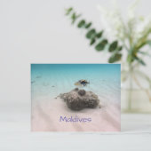 Carte Postale Maldives Bleu Océan Blanc Sable Corail Triggfish (Debout devant)