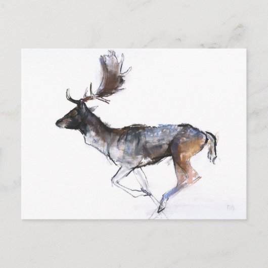 Carte Postale Mâle de soirée (Devant)