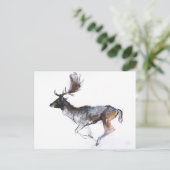 Carte Postale Mâle de soirée (Debout devant)