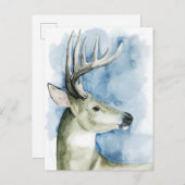 Carte Postale Mâle errant - aquarelle (Devant / Derrière)