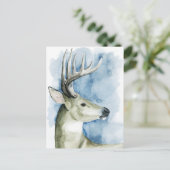 Carte Postale Mâle errant - aquarelle (Debout devant)