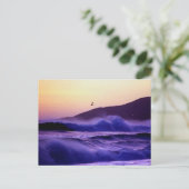 Carte Postale Malibu Beach (Debout devant)