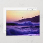 Carte Postale Malibu Beach (Devant / Derrière)