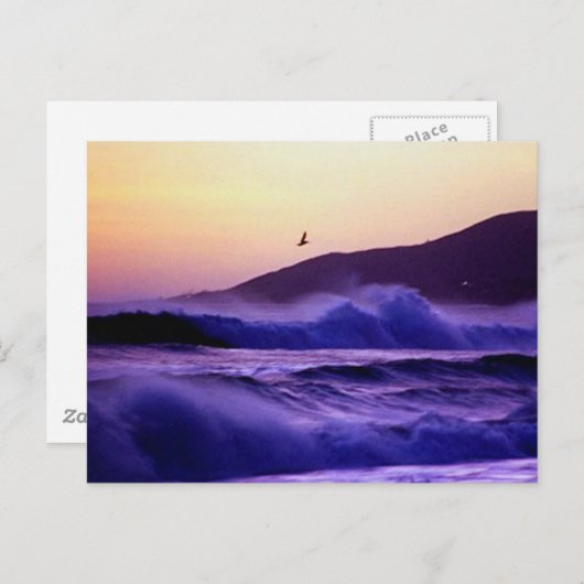 Carte Postale Malibu Beach (Devant / Derrière)